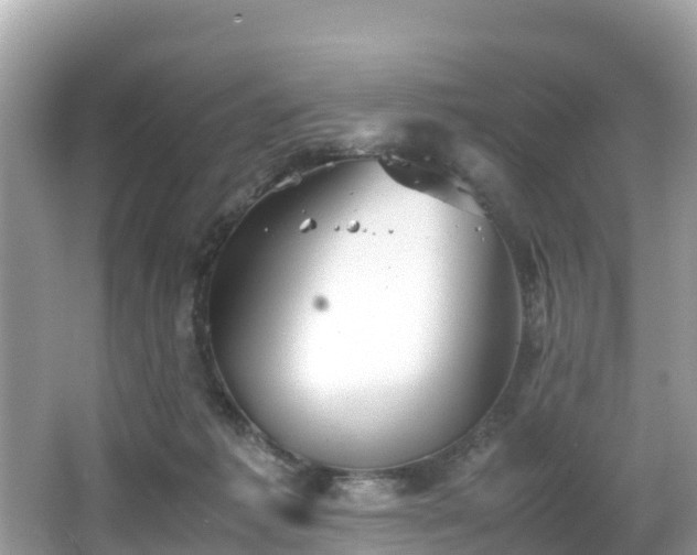 X0000065240221200602211222