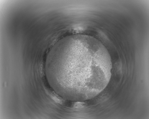 X0000065240222200602211222