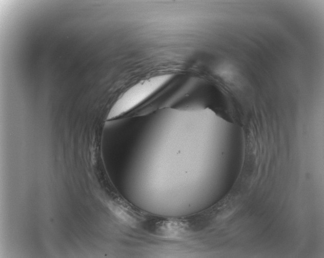 X0000065240223200602211222