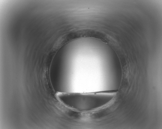 X0000065240225200602211222