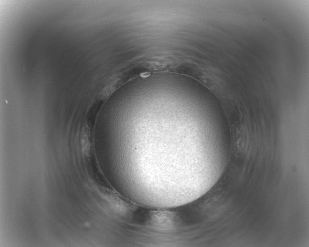 X0000065240226200602211222