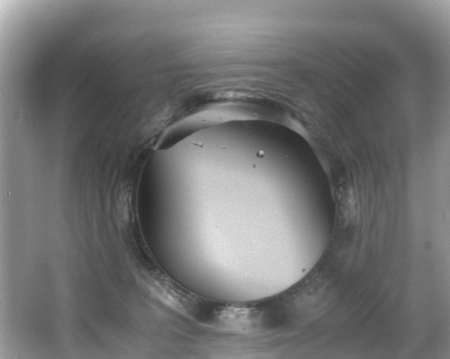 X0000065240227200602211222