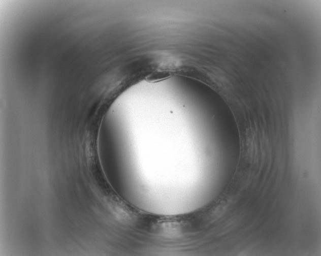 X0000065240228200602211222