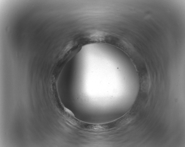 X0000065240229200602211222