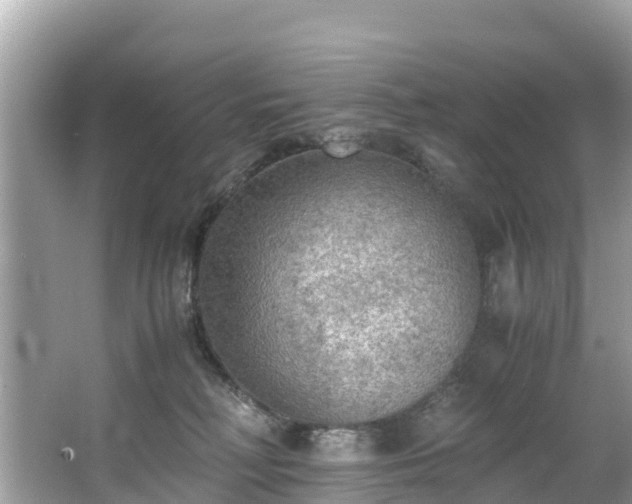 X0000065240230200602211222