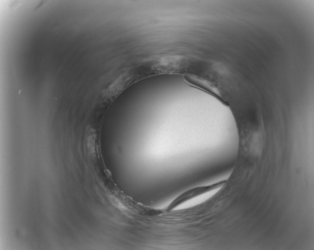 X0000065240231200602211222