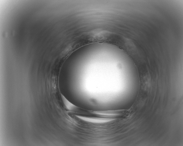 X0000065240232200602211222