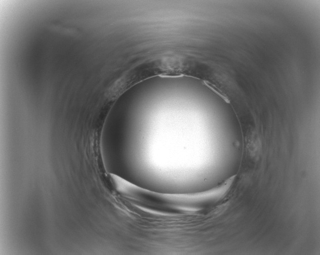 X0000065240233200602211222