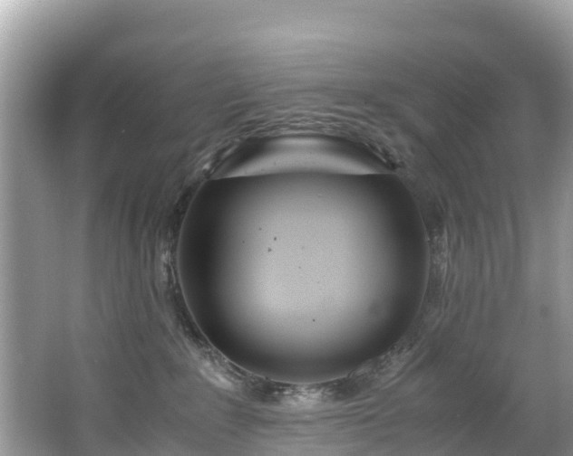 X0000065240235200602211222