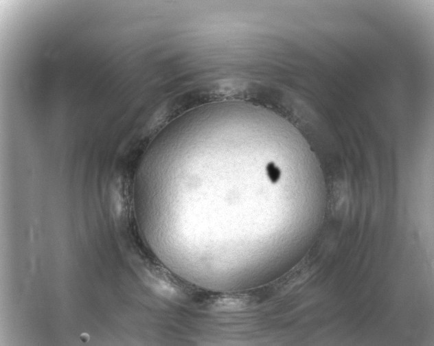 X0000065240236200602211221