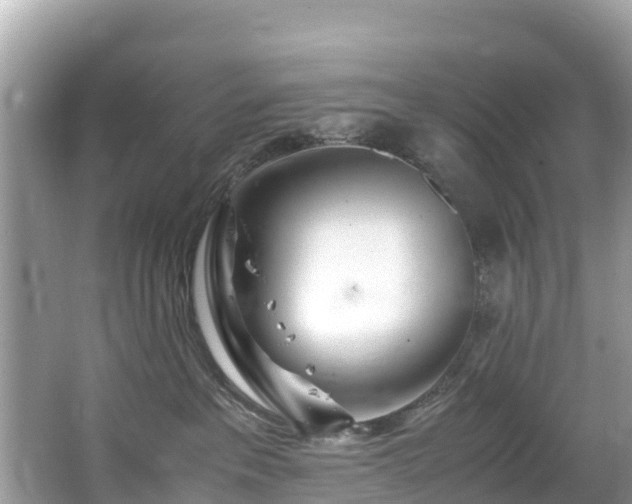 X0000065240237200602211221