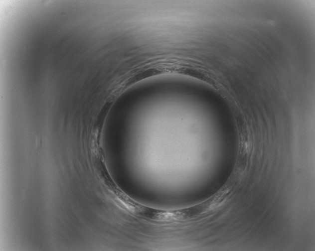 X0000065240239200602211221