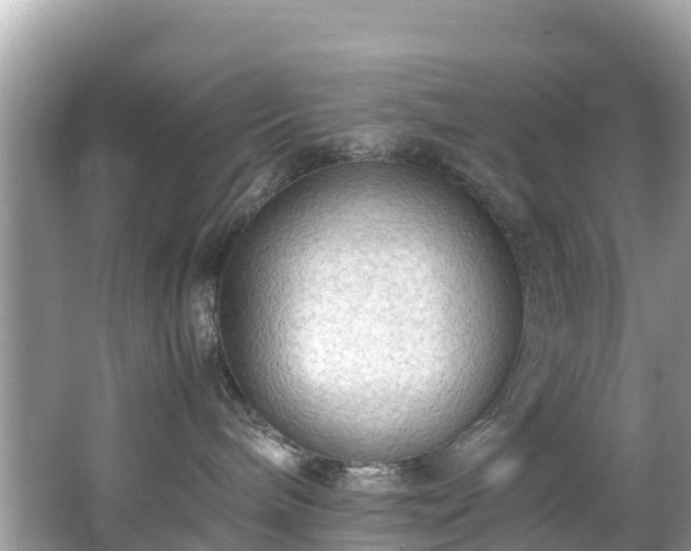 X0000065240240200602211221