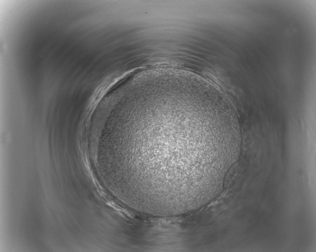 X0000065240241200602211221