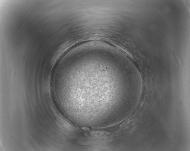 X0000065240242200602211221