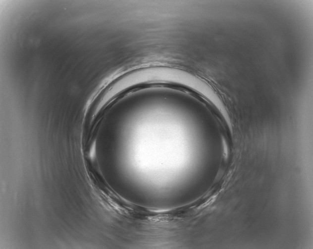 X0000065240244200602211221