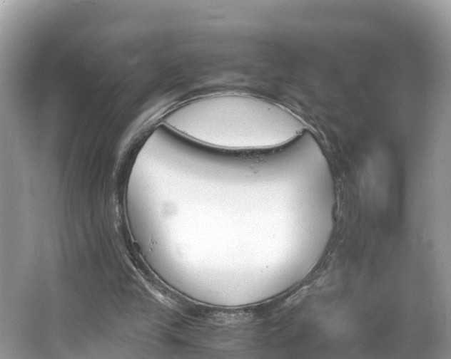 X0000065240245200602211221