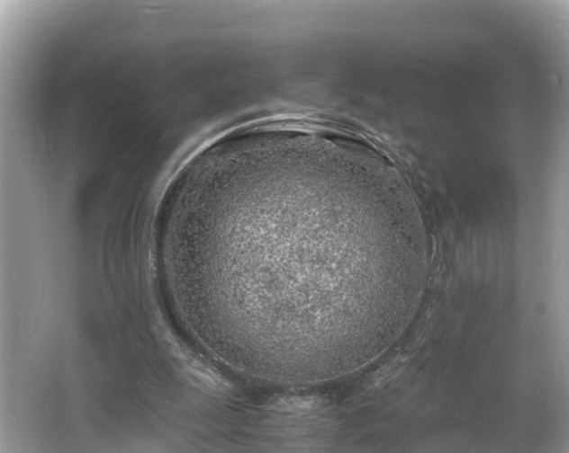 X0000065240247200602211221