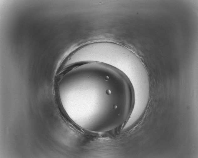 X0000065240248200602211221