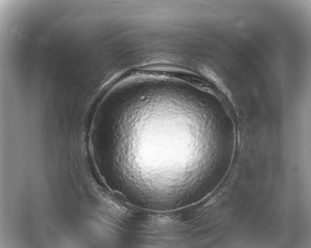 X0000065240249200602211221