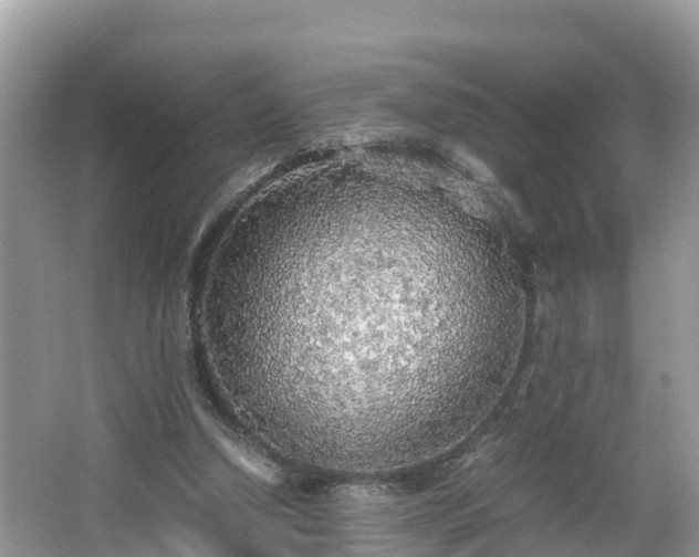 X0000065240250200602211221