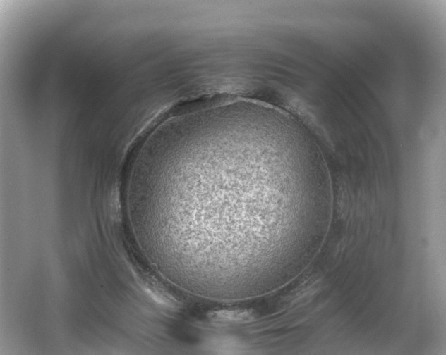 X0000065240251200602211221