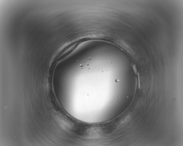 X0000065240252200602211221