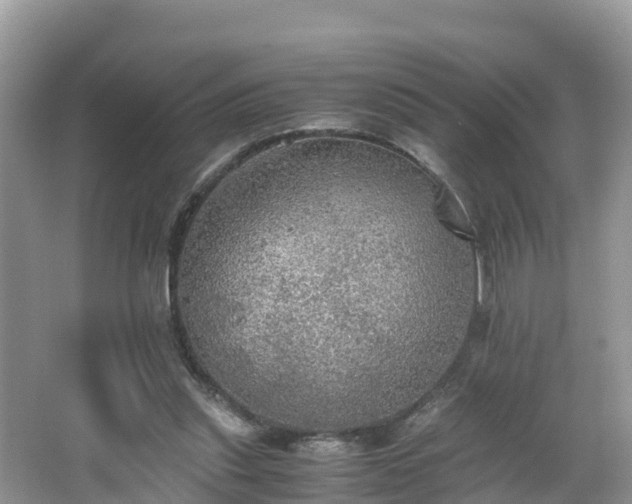 X0000065240253200602211221