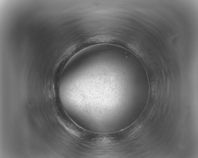 X0000065240254200602211221