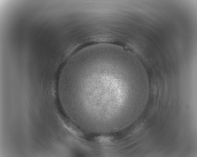 X0000065240255200602211221