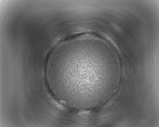 X0000065240257200602211221