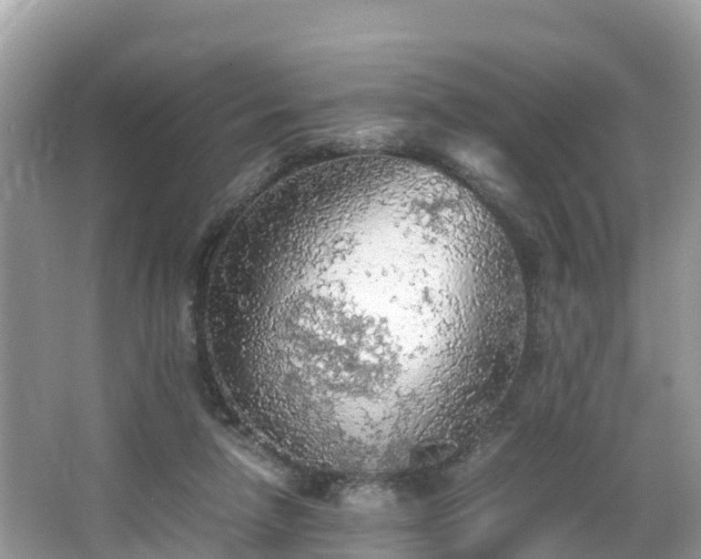 X0000065240258200602211221