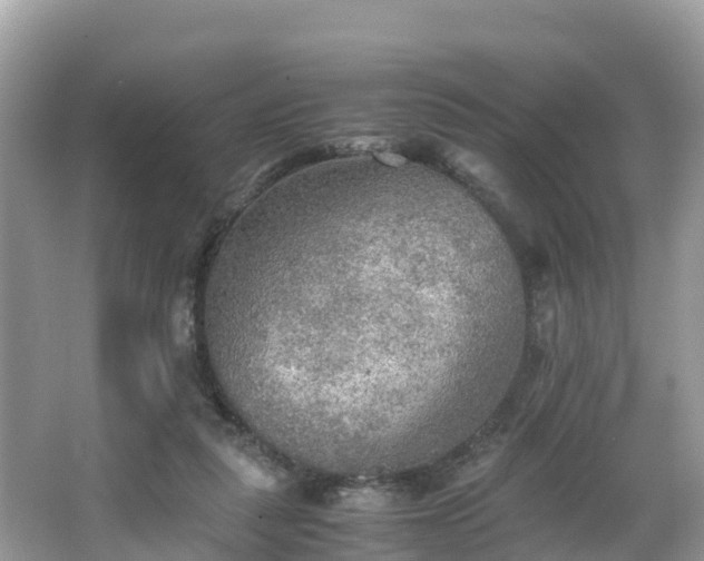 X0000065240259200602211221