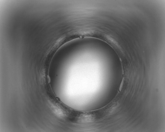 X0000065240260200602211221