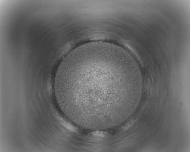 X0000065240261200602211221