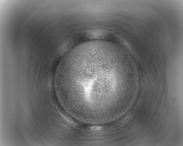 X0000065240265200602211221