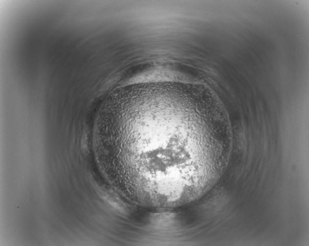 X0000065240266200602211221