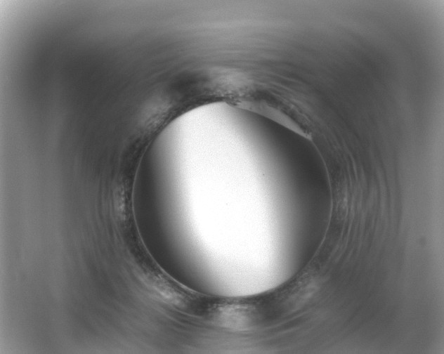 X0000065240268200602211221