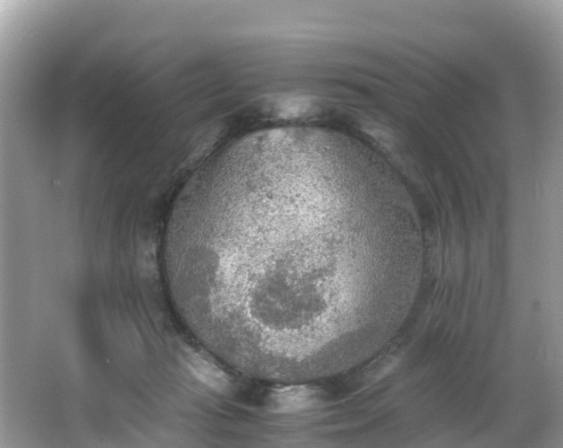 X0000065240269200602211221