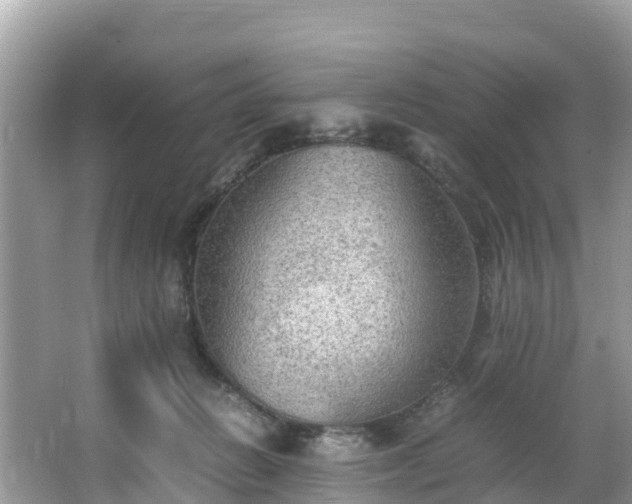 X0000065240270200602211221