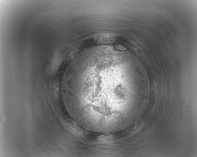 X0000065240271200602211221