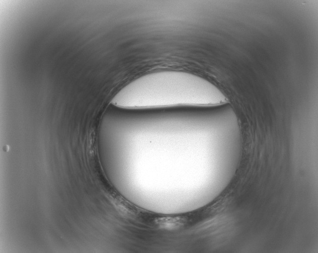 X0000065240273200602211221