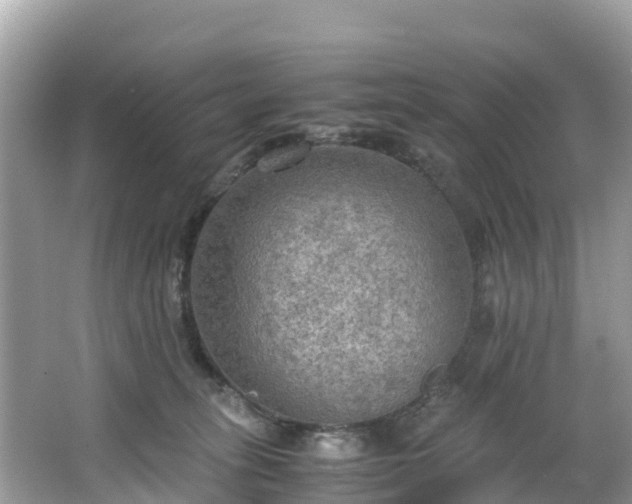 X0000065240275200602211221