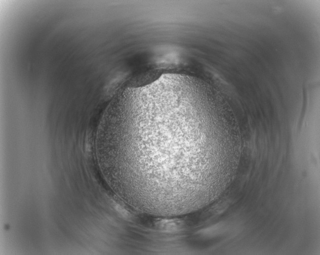 X0000065240277200602211221