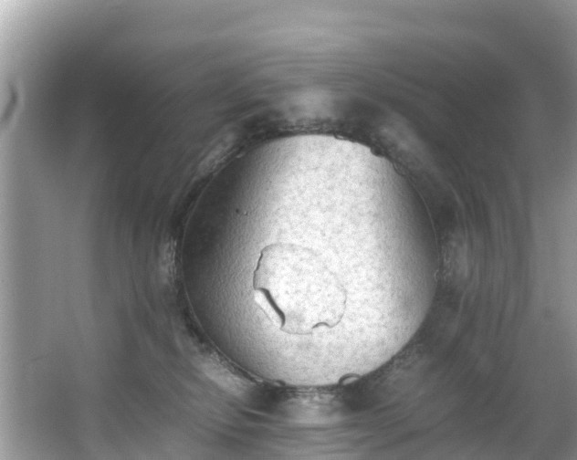 X0000065240278200602211221