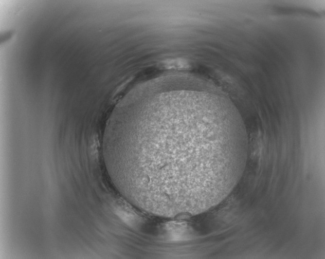 X0000065240279200602211221