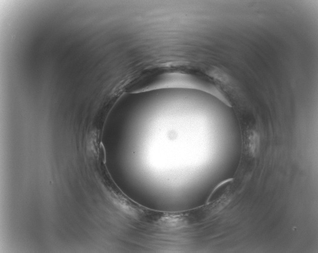 X0000065240280200602211221