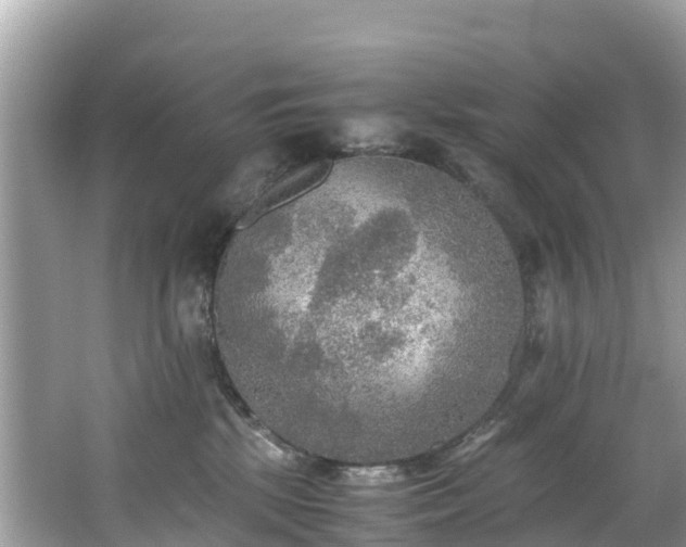 X0000065240281200602211221