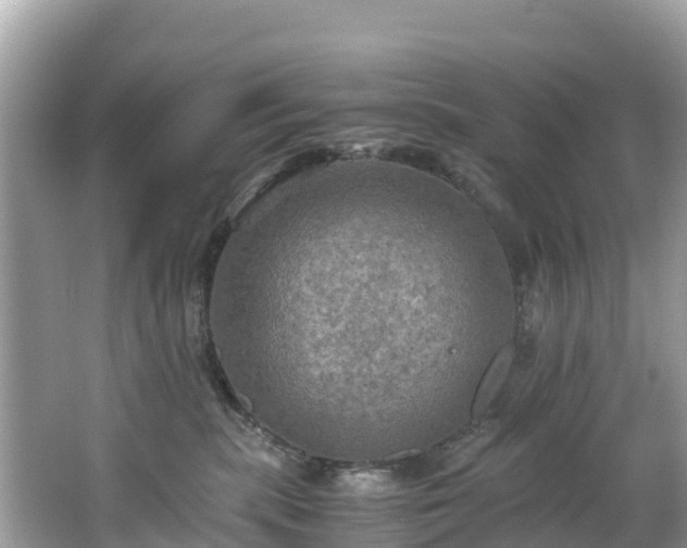 X0000065240283200602211221