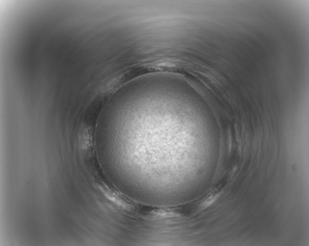 X0000065240284200602211221